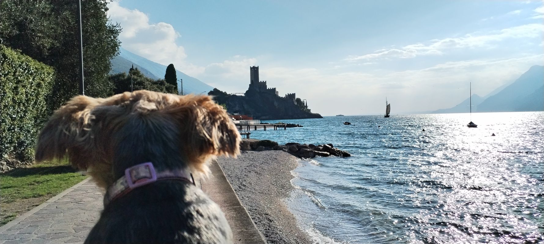 Arco.nach Malcesine Torbole Nago... Arco