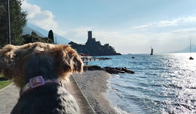 Zdjęcie 2 trasy Bikemap „Arco.nach Malcesine Torbole Nago... Arco”