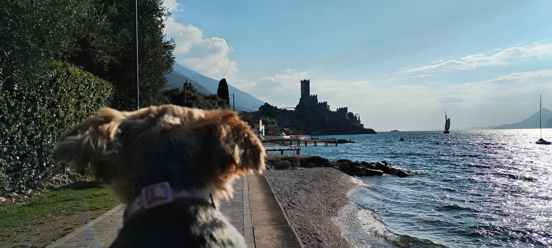 Arco.nach Malcesine Torbole Nago... Arco