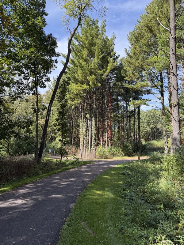 W Sylvan Dr, Mundelein to W Sylvan Dr, Mundelein