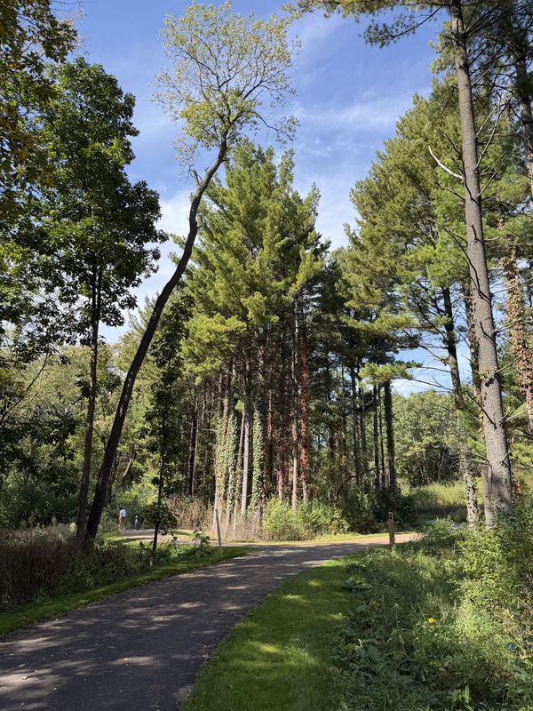 W Sylvan Dr, Mundelein to W Sylvan Dr, Mundelein