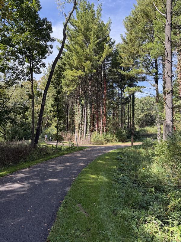 W Sylvan Dr, Mundelein to W Sylvan Dr, Mundelein