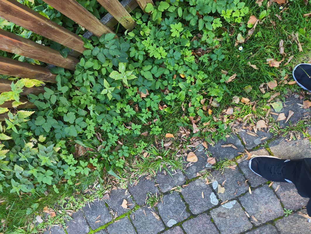 Lange Straße nach Lange Straße