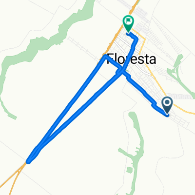 Rua Pioneiro Pascoal Zandonadi, Floresta a Rua Joaquim Nabuco, Floresta