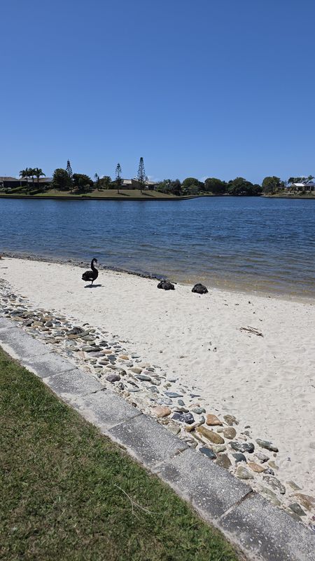 Pt Cartwright to Moffet Beach e-Bike Tour