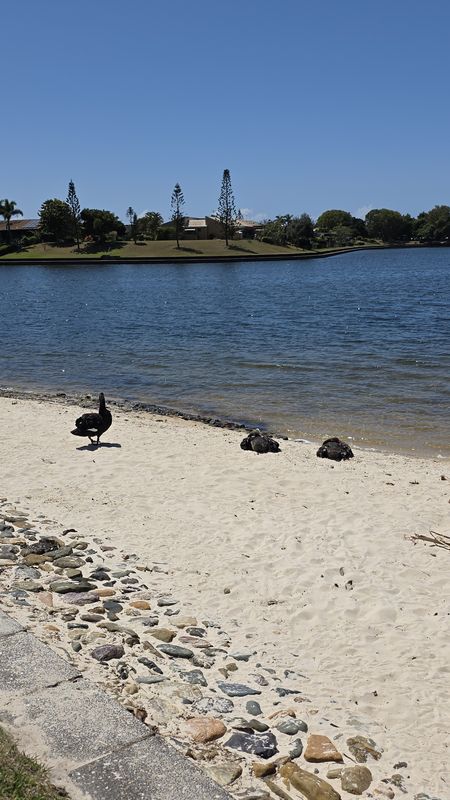 Pt Cartwright to Moffet Beach e-Bike Tour