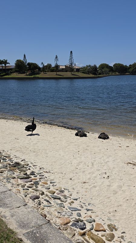 Pt Cartwright to Moffet Beach e-Bike Tour