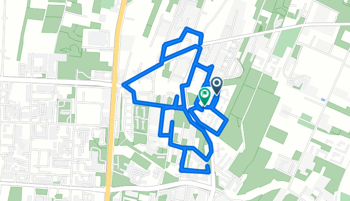 Dożynkowa 21P do Czesława Strzeszewskiego