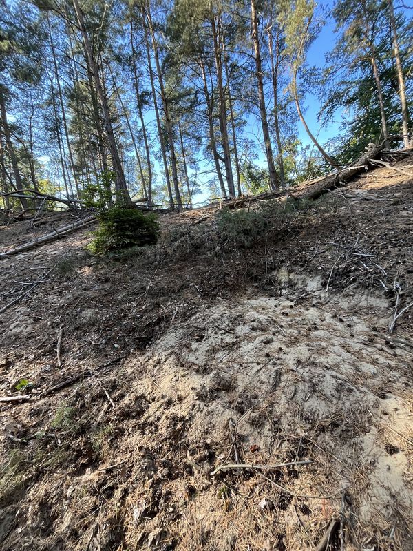 Lindenstraße, Haldensleben nach Lindenstraße, Haldensleben