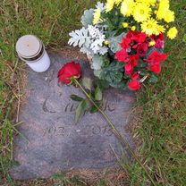 Rheinstraße nach Rheinstraße