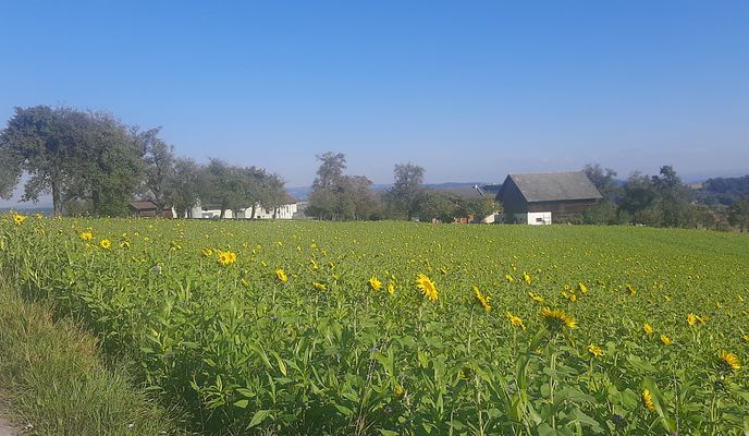 Zdjęcie 1 trasy Bikemap „mayerhofberg”