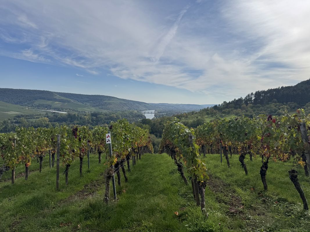 Untere Brückenstraße, Marktheidenfeld nach Mainkai, Würzburg