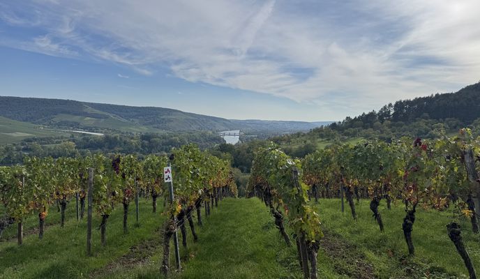 Photo 2 de l’itinéraire Bikemap « Untere Brückenstraße, Marktheidenfeld nach Mainkai, Würzburg »