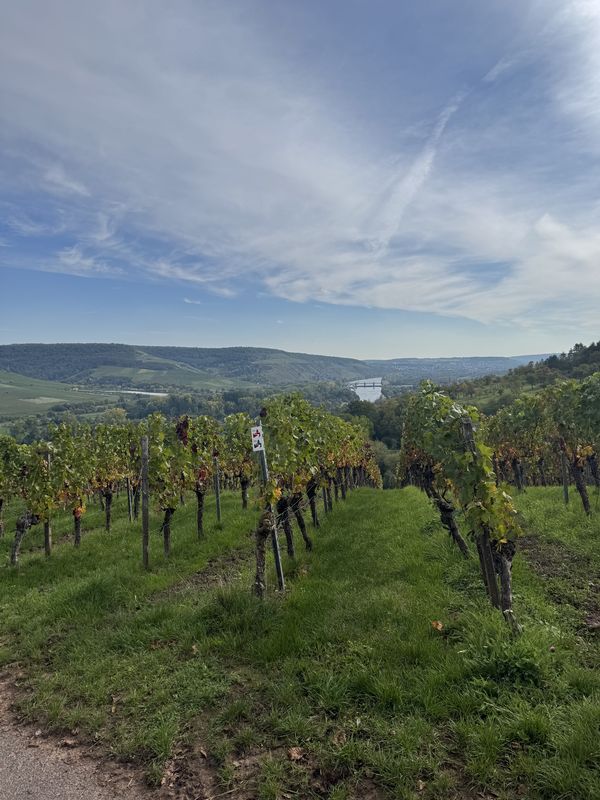 Untere Brückenstraße, Marktheidenfeld nach Mainkai, Würzburg