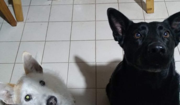 Foto 2 der Bikemap-Route "De Calle a Trieste"