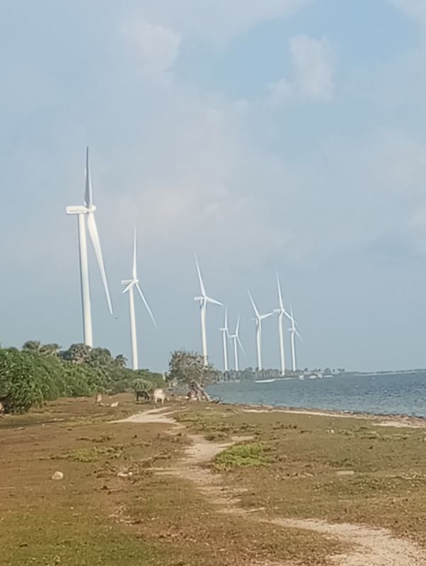 2025.10.03 foot baycical