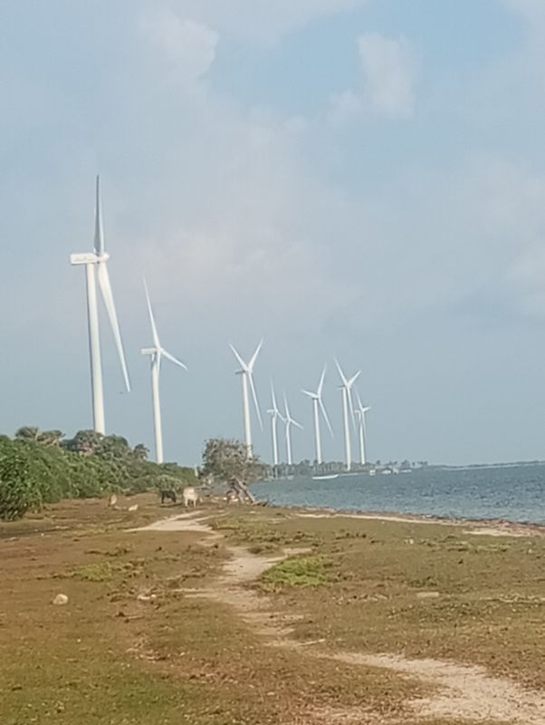 2025.10.03 foot baycical