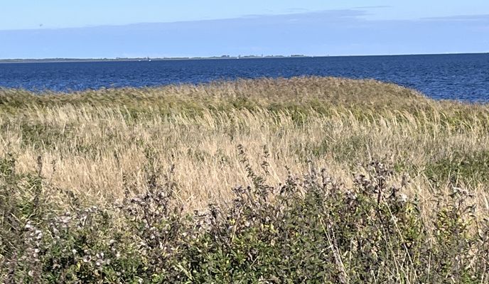 Photo 2 of the Bikemap route "Greifswalder Chaussee, Stralsund nach Europäischer Fernwanderweg 9, Kenz-Küstrow"