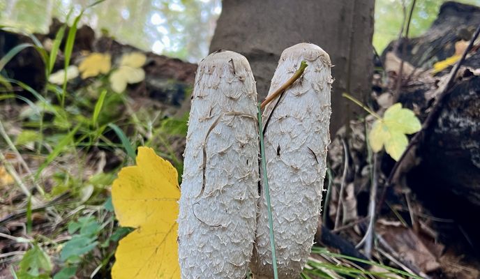 Photo 1 of the Bikemap route "Budowlanych, Тыхы до Jana Sebastiana Bacha, Тыхы"