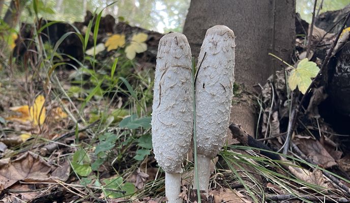 Photo 2 of the Bikemap route "Budowlanych, Тыхы до Jana Sebastiana Bacha, Тыхы"