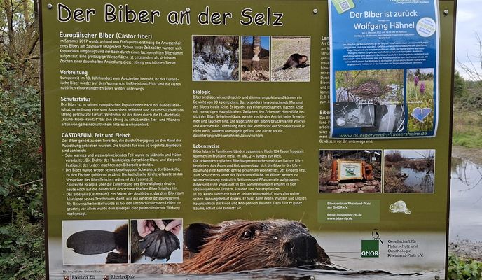 Foto 2 der Bikemap-Route "Mom Alzey Mom"