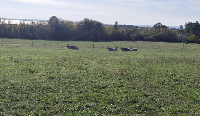 Foto 2 der Bikemap-Route "XR4V+8P - XR4V+8P" Foto 2 der Bikemap-Route "XR4V+8P - XR4V+8P"