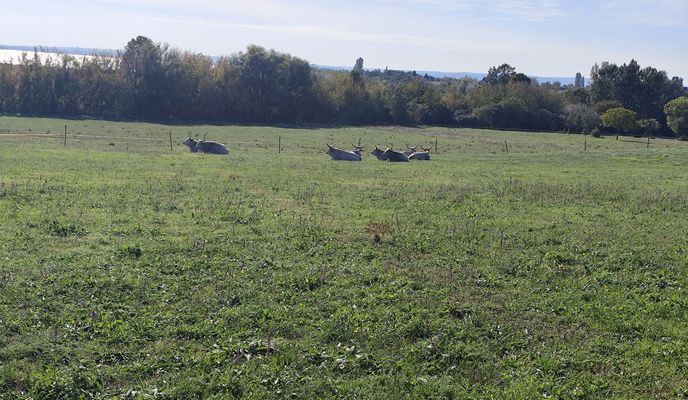 Foto 1 der Bikemap-Route "XR4V+8P - XR4V+8P" Foto 1 der Bikemap-Route "XR4V+8P - XR4V+8P"