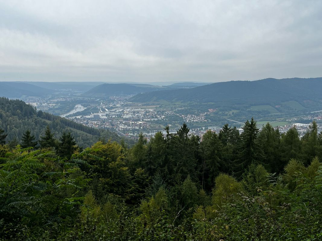 Diebshohl, Miltenberg nach Diebshohl, Miltenberg