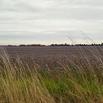 Westernkötter Straße nach Südstraße 37e