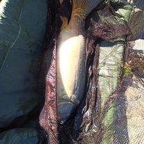 Foto 8 der Bikemap-Route "Gagarinova 1295/9 do Gagarinova 1295/9" Foto 8 der Bikemap-Route "Gagarinova 1295/9 do Gagarinova 1295/9"