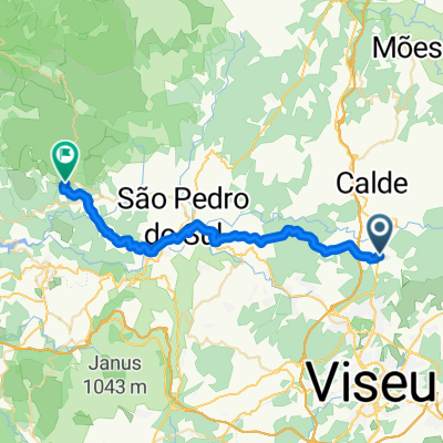 Campo - Oliveira de Frades