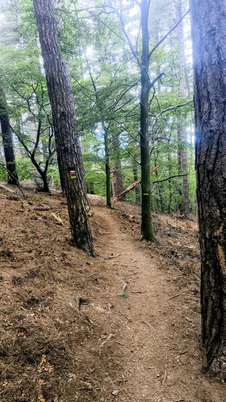 17 66 Cantallops Medàs Ermita-de-Santa-Maria Castell-de-Requesens PUIG-NEULÓS Coll de l'Ullat Sant-Martà Auleda Pla-de-l'Arca