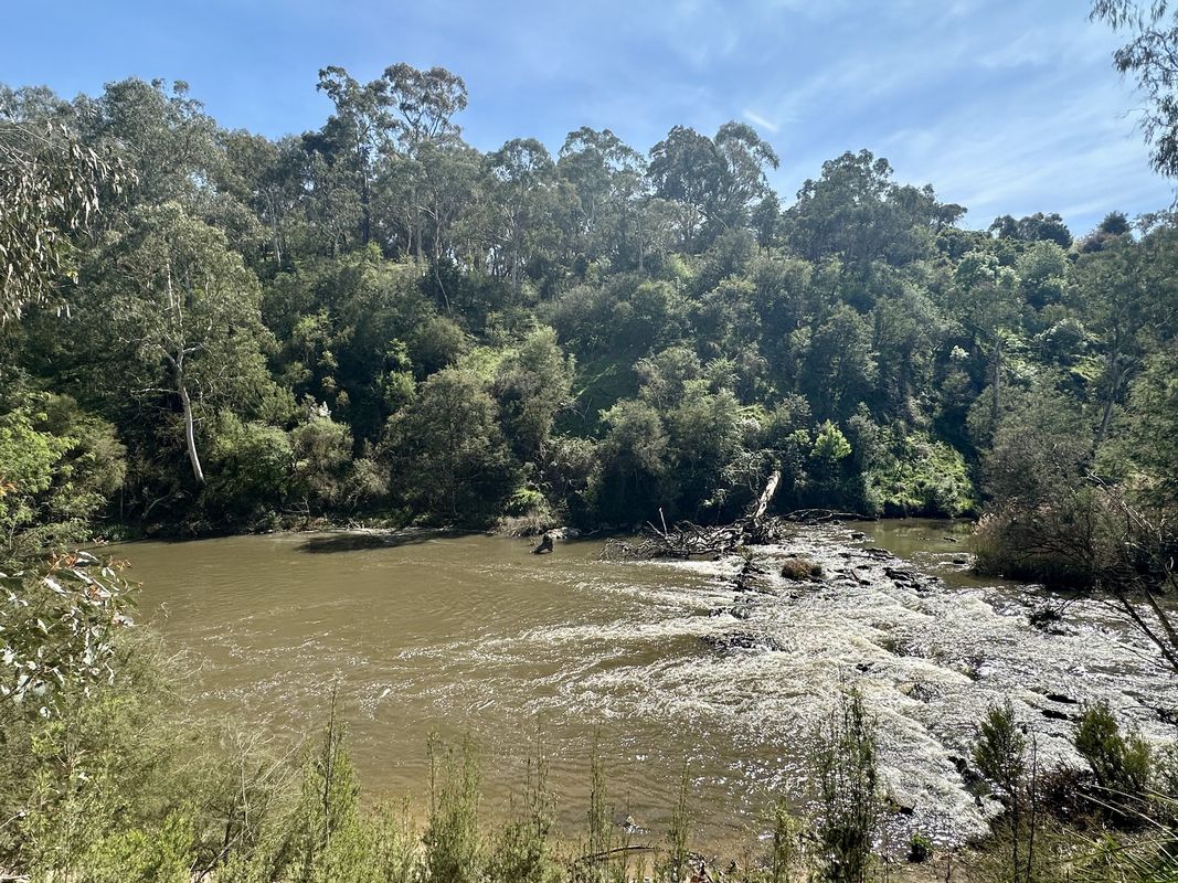 Sunny ride out to Petty’s Orchard