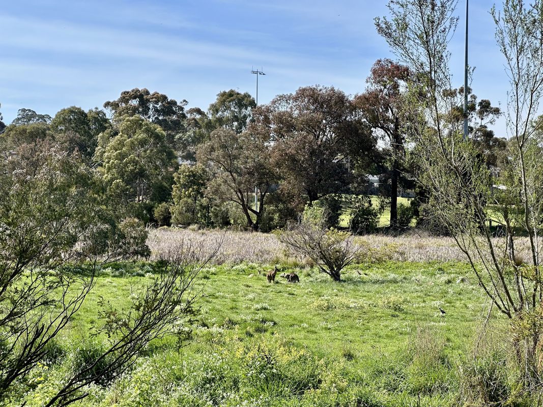 Sunny ride out to Petty’s Orchard