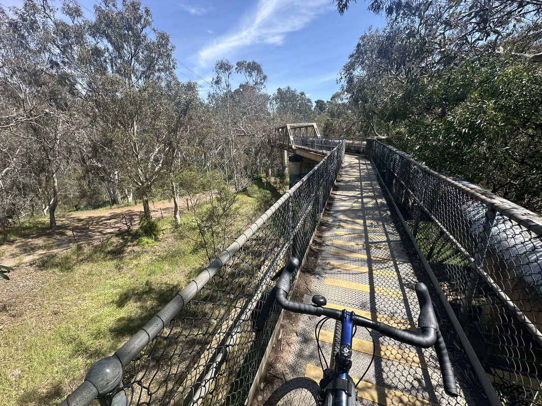Sunny ride out to Petty’s Orchard