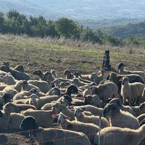 Photo 8 de l’itinéraire Bikemap « Viale dei Sanniti, Morcone a Viale dei Sanniti, Morcone »