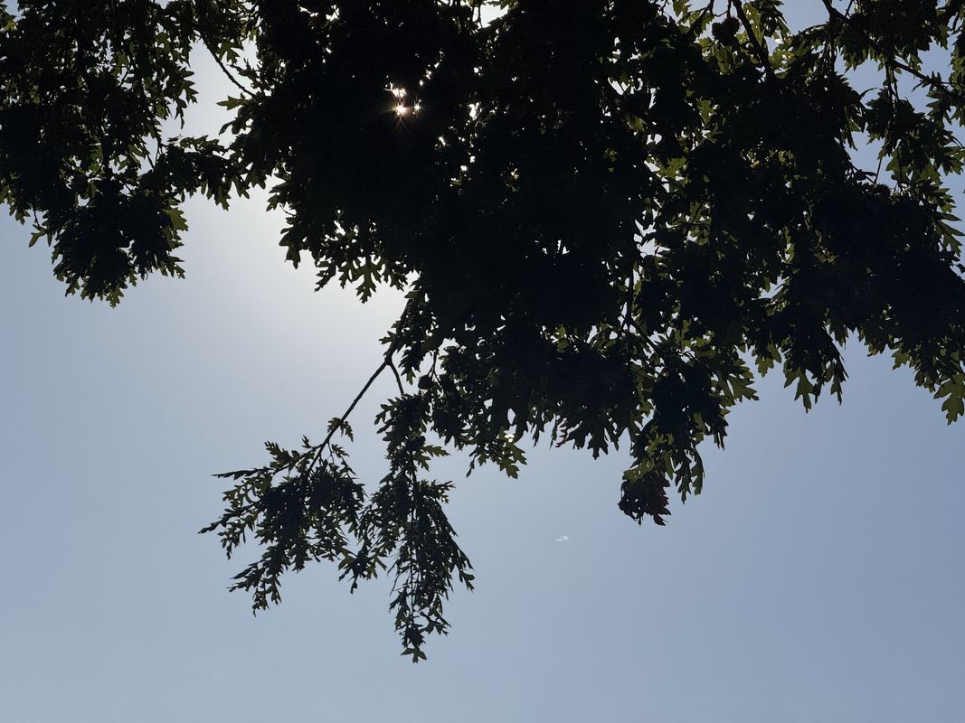 Viale dei Sanniti, Morcone a Viale dei Sanniti, Morcone