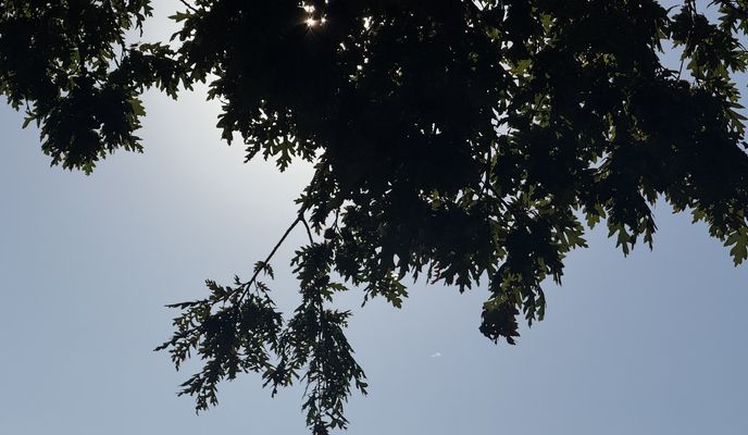 Photo 2 de l’itinéraire Bikemap « Viale dei Sanniti, Morcone a Viale dei Sanniti, Morcone »