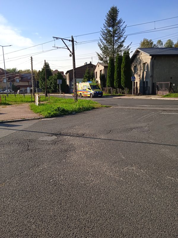 Modrzejowska do Józefa Ignacego Kraszewskiego