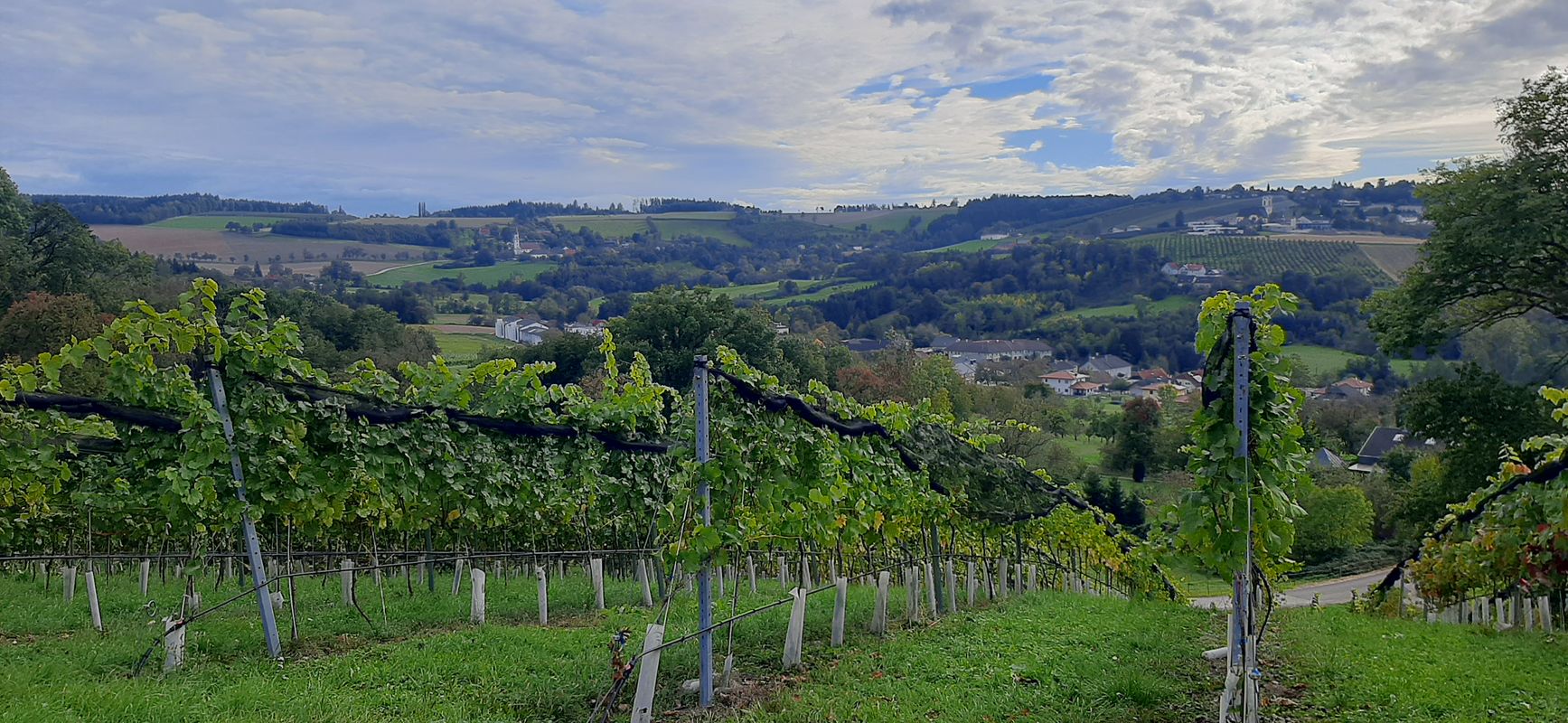 buchkirchen, mistlbach, axberg, polsing, scharten