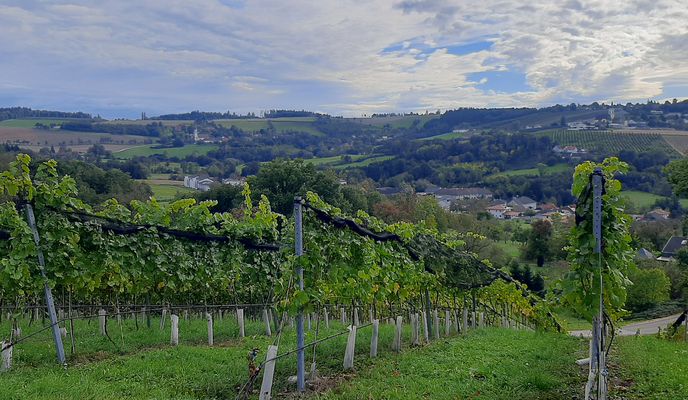 Foto 1 de la ruta de Bikemap "buchkirchen, mistlbach, axberg, polsing, scharten"