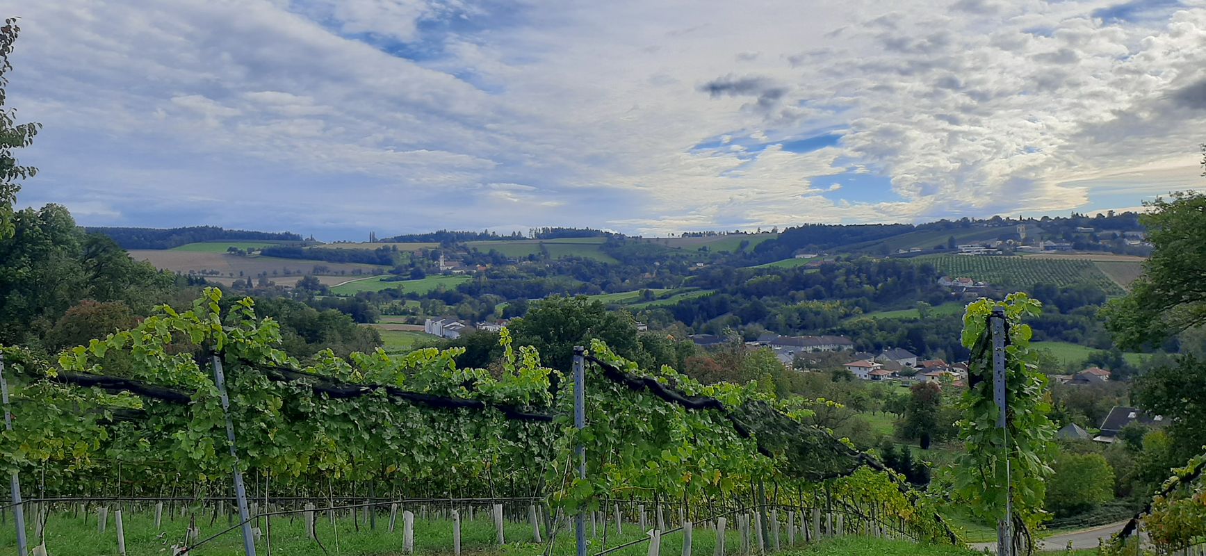 buchkirchen, mistlbach, axberg, polsing, scharten