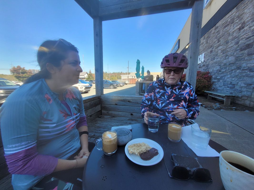 Cowie Hill Rd Before Hadley Cr (2209) to Pepperell Street