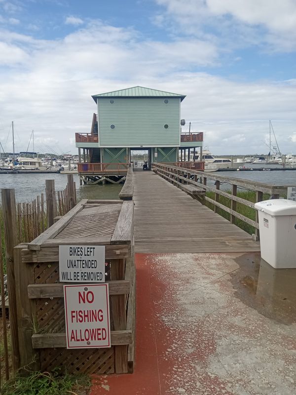 folly