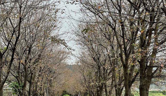 Zdjęcie 1 trasy Bikemap „양평군에서 천서리, 여주시까지”