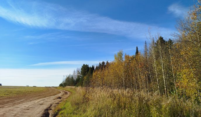 Foto 2 del percorso Bikemap "улица д"