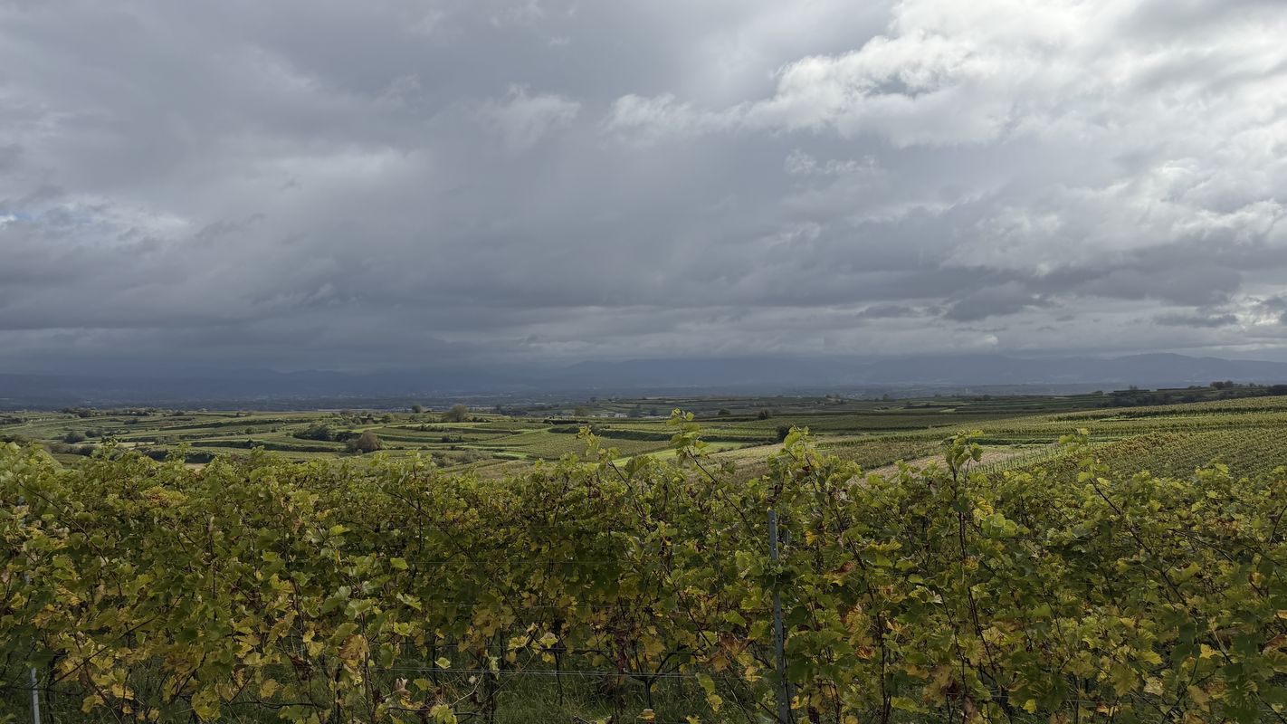 Eichstetten Endingen Bahlingen