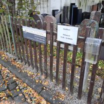 Am Wolfswinkel nach Am Wolfswinkel