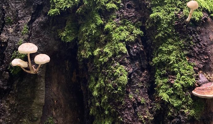 Zdjęcie 2 trasy Bikemap „49.087, 18.182 až 49.088, 18.180”