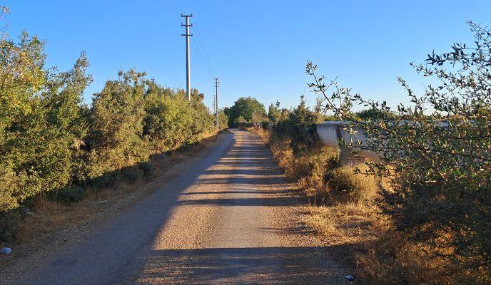 Foto 2 de la ruta de Bikemap "Başköy 7"